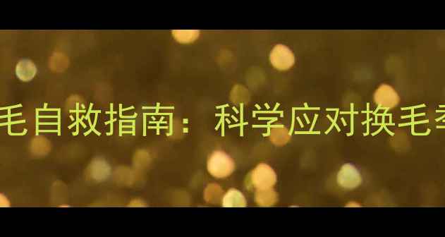 图片 边牧夏天掉毛自救指南：科学应对换毛季的5大秘诀