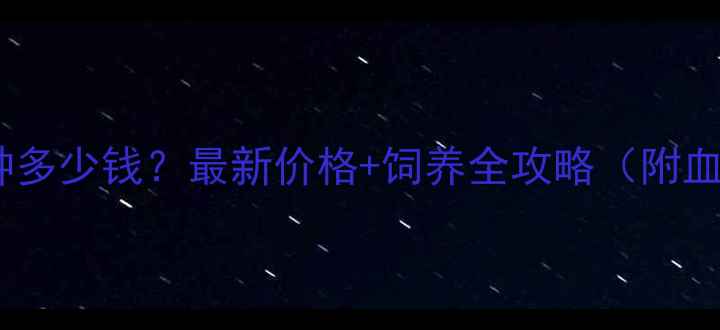 图片 边牧多七通三白纯种多少钱？最新价格+饲养全攻略（附血统证书购买指南）2