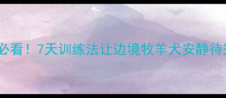 图片 边牧宝宝关笼子狂叫？新手必看！7天训练法让边境牧羊犬安静待笼，附赠超实用安抚攻略🐾2