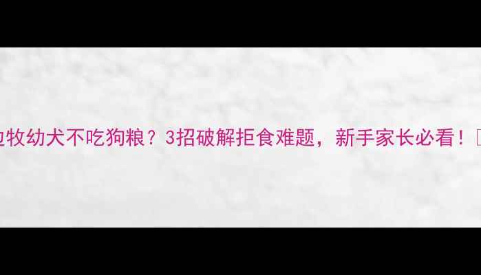 图片 边牧幼犬不吃狗粮？3招破解拒食难题，新手家长必看！🐾