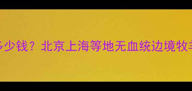 图片 边牧幼犬价格多少钱？北京上海等地无血统边境牧羊犬饲养全攻略