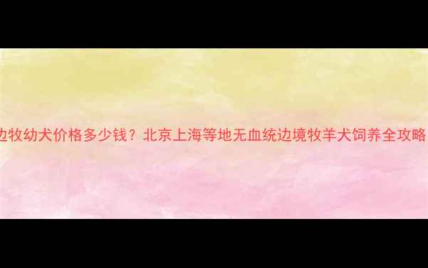 图片 边牧幼犬价格多少钱？北京上海等地无血统边境牧羊犬饲养全攻略1