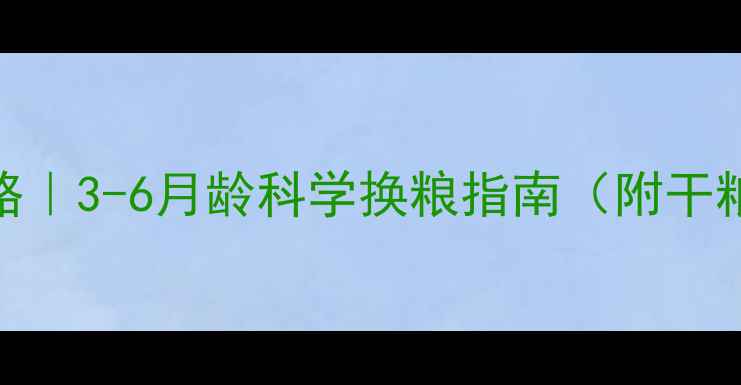 图片 边牧幼犬喂养全攻略｜3-6月龄科学换粮指南（附干粮挑选+过渡食谱）1