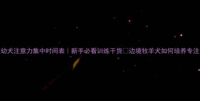 图片 边牧幼犬注意力集中时间表｜新手必看训练干货🔥边境牧羊犬如何培养专注力💡