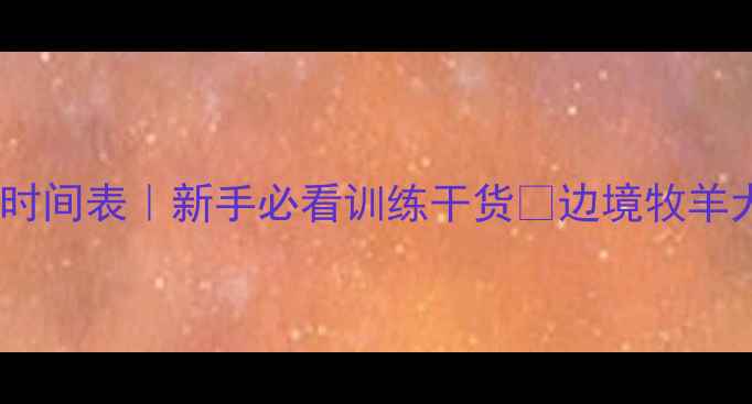 图片 边牧幼犬注意力集中时间表｜新手必看训练干货🔥边境牧羊犬如何培养专注力💡1