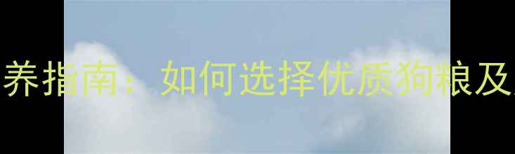 图片 边牧幼犬科学喂养指南：如何选择优质狗粮及成长关键期管理