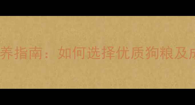图片 边牧幼犬科学喂养指南：如何选择优质狗粮及成长关键期管理1