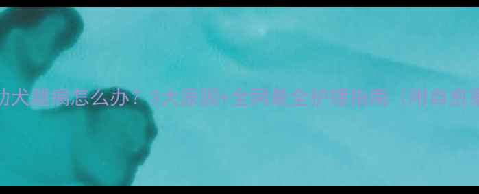 图片 边牧幼犬腿瘸怎么办？3大原因+全网最全护理指南（附自愈案例）