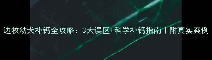 图片 边牧幼犬补钙全攻略：3大误区+科学补钙指南｜附真实案例