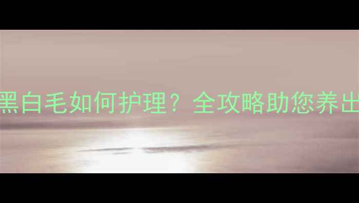 图片 边牧幼犬黑白毛如何护理？全攻略助您养出健康皮毛