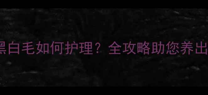 图片 边牧幼犬黑白毛如何护理？全攻略助您养出健康皮毛1