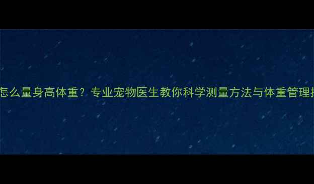 图片 边牧怎么量身高体重？专业宠物医生教你科学测量方法与体重管理指南2
