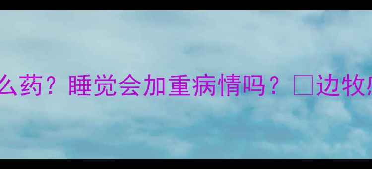 图片 边牧感冒该吃什么药？睡觉会加重病情吗？🐾边牧感冒护理全攻略1