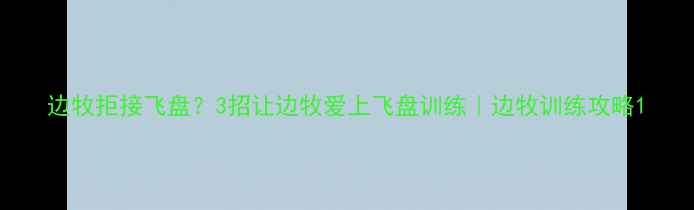 图片 边牧拒接飞盘？3招让边牧爱上飞盘训练｜边牧训练攻略1
