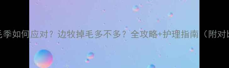 图片 边牧掉毛季如何应对？边牧掉毛多不多？全攻略+护理指南（附对比图）🐾