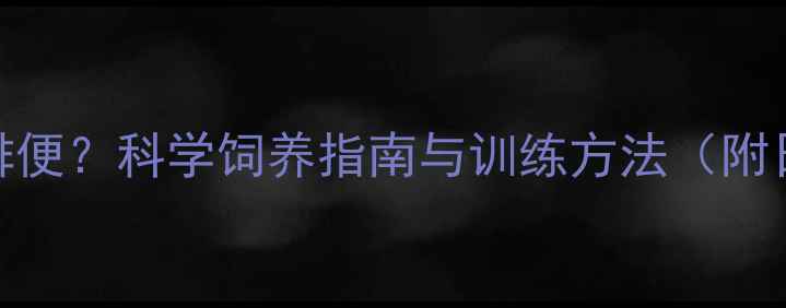图片 边牧早上几点排便？科学饲养指南与训练方法（附日常管理技巧）