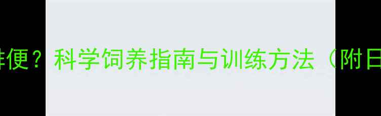 图片 边牧早上几点排便？科学饲养指南与训练方法（附日常管理技巧）2