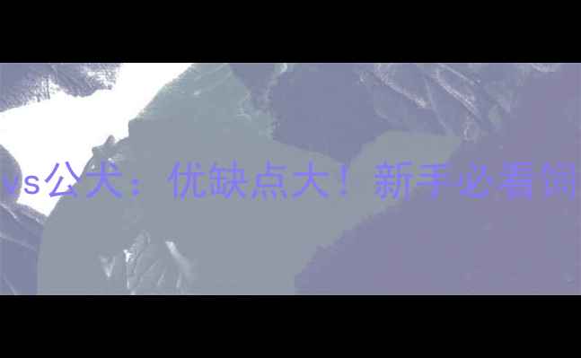 图片 边牧母犬vs公犬：优缺点大！新手必看饲养指南✨