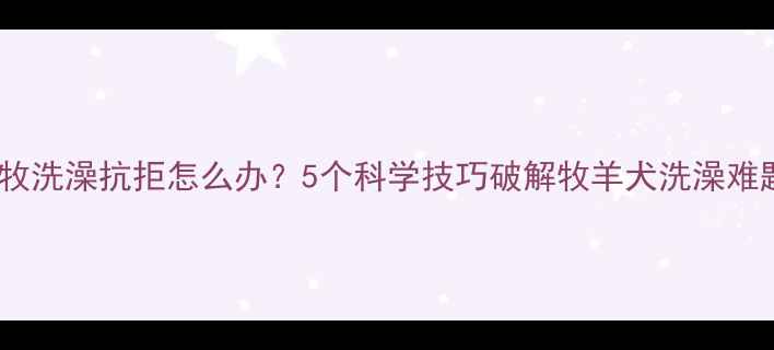 图片 边牧洗澡抗拒怎么办？5个科学技巧破解牧羊犬洗澡难题2
