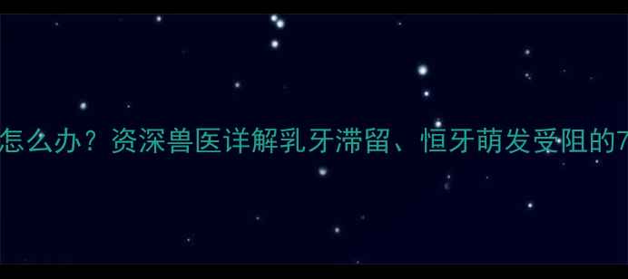 图片 边牧牙齿发育不良怎么办？资深兽医详解乳牙滞留、恒牙萌发受阻的7大原因及解决措施