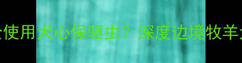 图片 边牧犬能否安全使用犬心保驱虫？深度边境牧羊犬专用驱虫方案