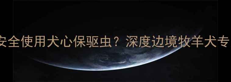 图片 边牧犬能否安全使用犬心保驱虫？深度边境牧羊犬专用驱虫方案1