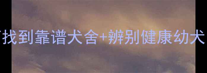 图片 边牧犬购买全攻略：如何找到靠谱犬舍+辨别健康幼犬（附全国推荐犬舍清单）
