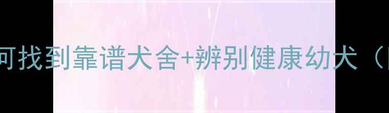 图片 边牧犬购买全攻略：如何找到靠谱犬舍+辨别健康幼犬（附全国推荐犬舍清单）1