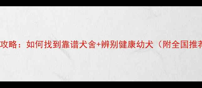 图片 边牧犬购买全攻略：如何找到靠谱犬舍+辨别健康幼犬（附全国推荐犬舍清单）2