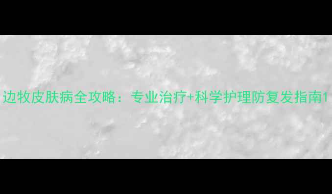 图片 边牧皮肤病全攻略：专业治疗+科学护理防复发指南1