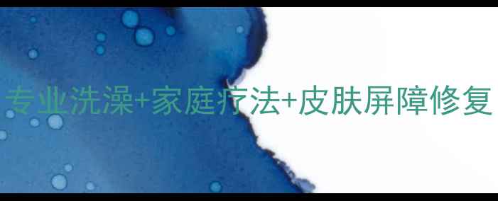 图片 边牧皮肤病护理全攻略｜专业洗澡+家庭疗法+皮肤屏障修复，养边牧必看避坑指南！