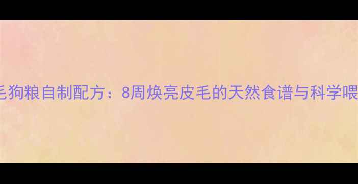 图片 边牧美毛狗粮自制配方：8周焕亮皮毛的天然食谱与科学喂养指南1