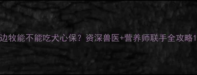 图片 边牧能不能吃犬心保？资深兽医+营养师联手全攻略1