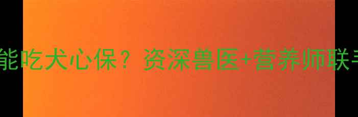 图片 边牧能不能吃犬心保？资深兽医+营养师联手全攻略2