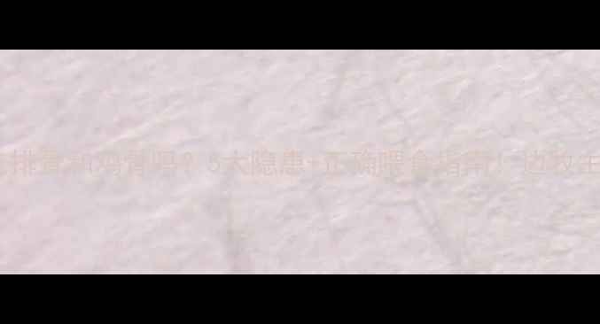 图片 边牧能吃排骨和鸡骨吗？5大隐患+正确喂食指南！边牧主人必看2