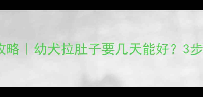 图片 边牧腹泻护理全攻略｜幼犬拉肚子要几天能好？3步止泻+附自救指南