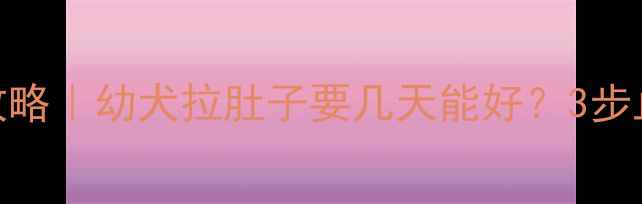 图片 边牧腹泻护理全攻略｜幼犬拉肚子要几天能好？3步止泻+附自救指南1