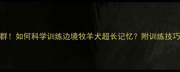 图片 边牧记忆超群！如何科学训练边境牧羊犬超长记忆？附训练技巧与养护指南