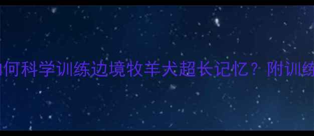 图片 边牧记忆超群！如何科学训练边境牧羊犬超长记忆？附训练技巧与养护指南1