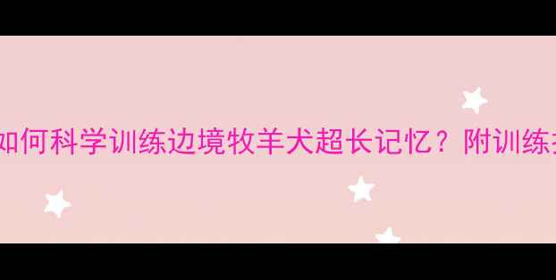 图片 边牧记忆超群！如何科学训练边境牧羊犬超长记忆？附训练技巧与养护指南2