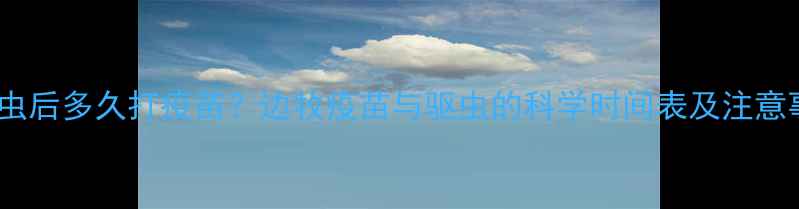 图片 边牧驱虫后多久打疫苗？边牧疫苗与驱虫的科学时间表及注意事项全1