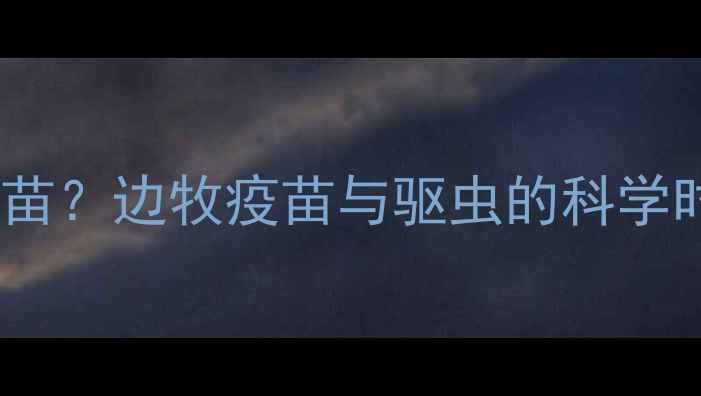 图片 边牧驱虫后多久打疫苗？边牧疫苗与驱虫的科学时间表及注意事项全2