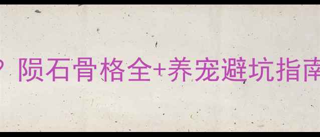 图片 边牧骨架差会短命？陨石骨格全+养宠避坑指南｜附骨骼养护食谱