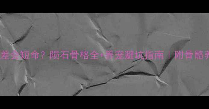 图片 边牧骨架差会短命？陨石骨格全+养宠避坑指南｜附骨骼养护食谱2