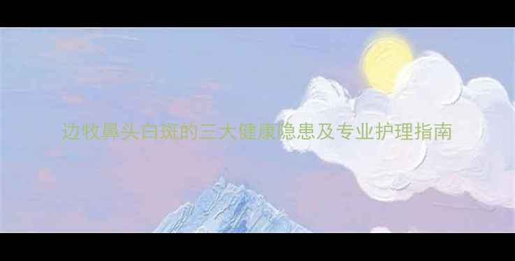 图片 边牧鼻头白斑的三大健康隐患及专业护理指南