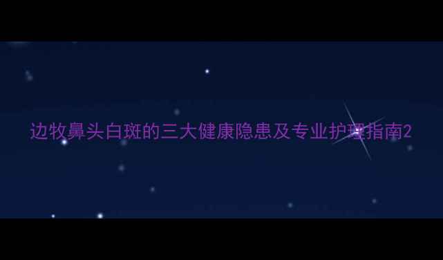 图片 边牧鼻头白斑的三大健康隐患及专业护理指南2