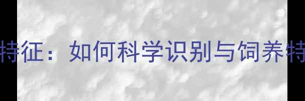 图片 返祖金毛犬特征：如何科学识别与饲养特殊毛色金毛