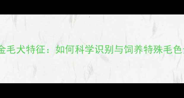 图片 返祖金毛犬特征：如何科学识别与饲养特殊毛色金毛2