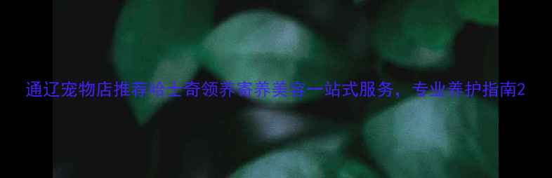 图片 通辽宠物店推荐哈士奇领养寄养美容一站式服务，专业养护指南2