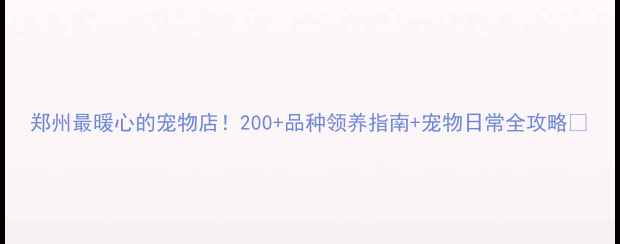 图片 郑州最暖心的宠物店！200+品种领养指南+宠物日常全攻略🐾